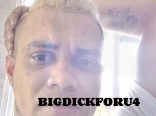 BIGDICKFORU4