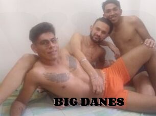 BIG_DANES