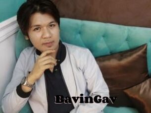 BavinGav