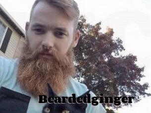 Beardedginger