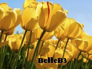 BelleB3