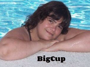 BigCup