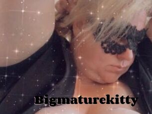 Bigmaturekitty