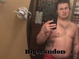Bigseandon
