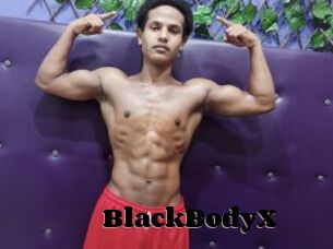 BlackBodyX