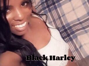 Black_Harley