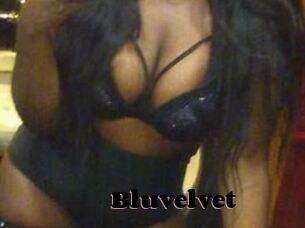Bluvelvet