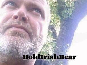 BoldIrishBear