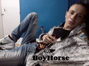 BoyHorse