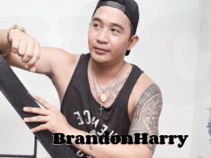 BrandonHarry