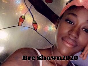 Bre_Shawn2020
