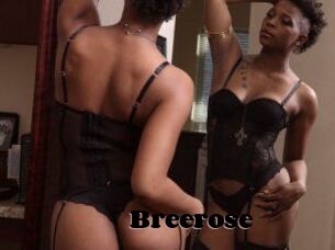 Breerose