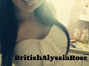 BritishAlyssiaRose