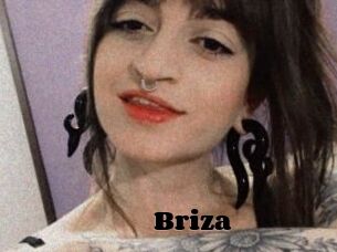 Briza