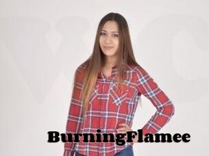 BurningFlamee