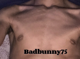 Badbunny75