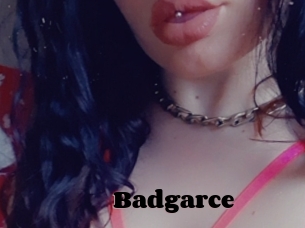 Badgarce
