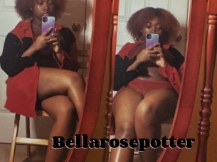 Bellarosepotter