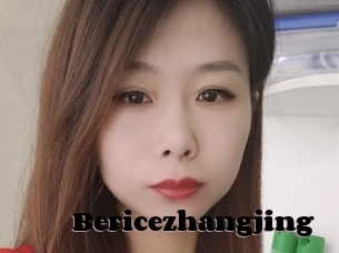 Bericezhangjing