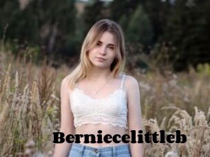 Berniecelittleb
