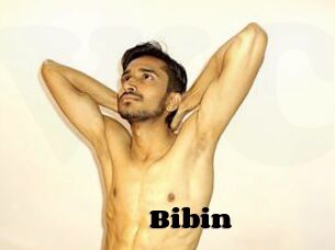 Bibin
