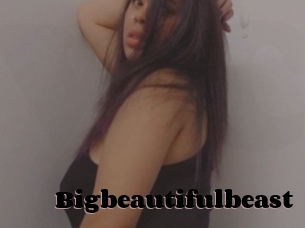 Bigbeautifulbeast