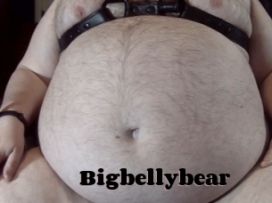 Bigbellybear
