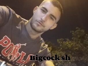 Bigcock_sh