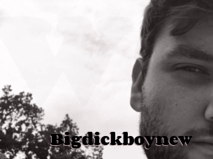 Bigdickboynew