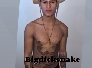 Bigdicksnake
