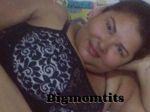 Bigmomtits