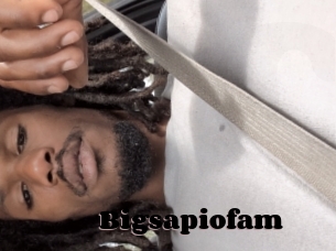 Bigsapiofam
