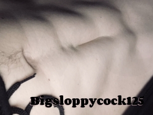 Bigsloppycock125