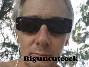 Biguncutcock