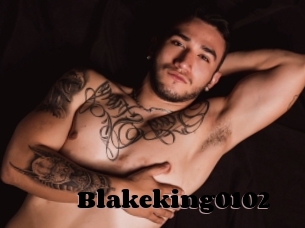 Blakeking0102