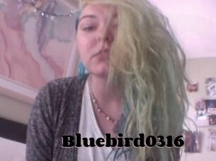 Bluebird0316
