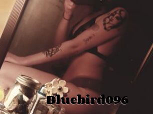 Bluebird096