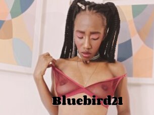 Bluebird21