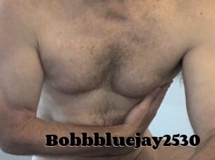 Bobbbluejay2530