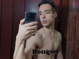Bongoo
