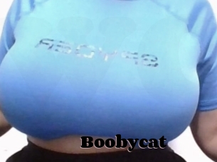 Boobycat