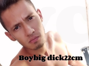 Boybig_dick22cm