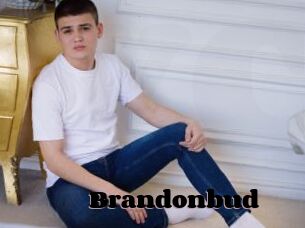 Brandonbud