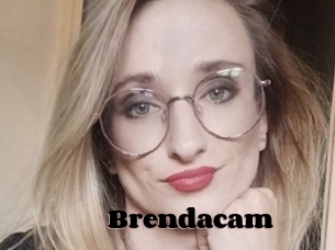 Brendacam
