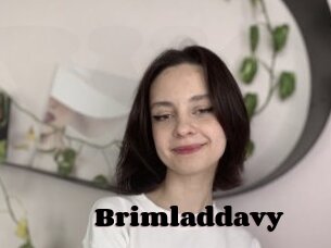 Brimladdavy
