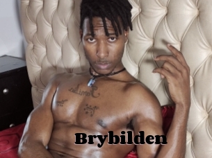 Brybilden