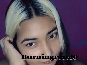 Burningrose20