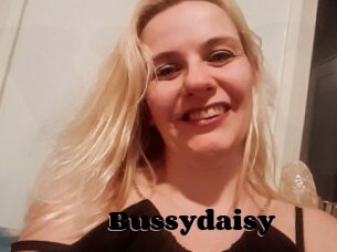 Bussydaisy