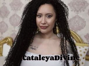 CataleyaDivine