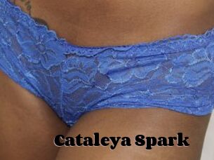 Cataleya_Spark